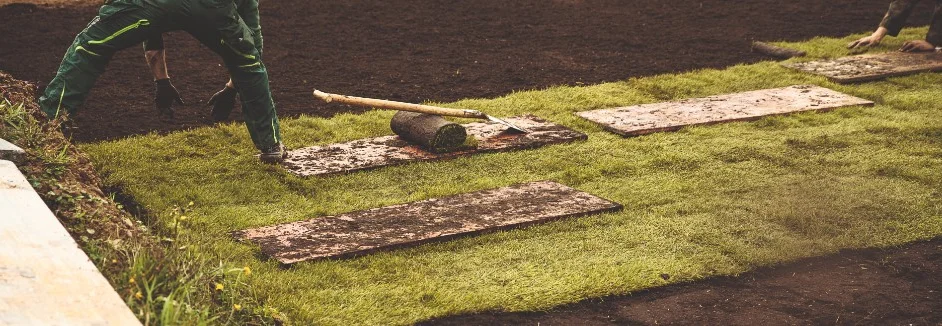 Person verlegt Rollrasen mit Schaufel